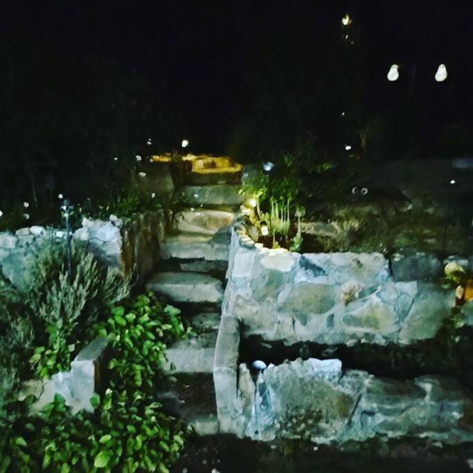 Вілла O'Brien'S Oasis Miramonte Екстер'єр фото